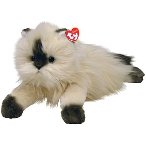 Ty Peaches - Beige Himalayan Cat by Ty Peaches - Beige Himalayan Cat