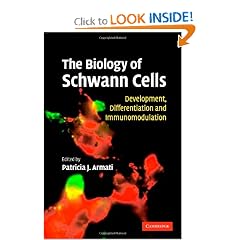 The Biology of Schwann Cells: Development, Differentiation and Immunomodulation by Patricia Armati