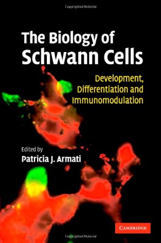 The Biology of Schwann Cells: Development, Differentiation and Immunomodulation