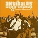 Liberation Afro Beat, Vol. 1