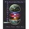 Management gurus