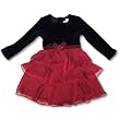 Jona Michelle Girls Cinnamon Embroidered Dress With Crinkle