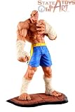 Street Fighter Resin Statue: Sagat
