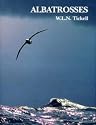 Albatrosses