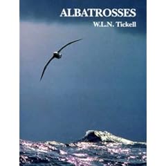 Albatrosses