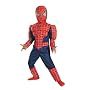 Muscle Chest Spiderman 3 Costume