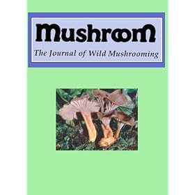 Mushroom
