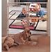 Pet Supplies : North States Extra Wide Wire Mesh Gate - 32" Tall Wood Pressure Mount Gate Fits Openings 29.5" to 50" Wide