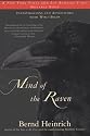 Mind of the Raven: Investigations and Adventures with Wolf-Birds
