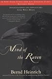 Mind of the Raven: Investigations and Adventures with Wolf-Birds