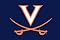 University of Virginia Cavaliers Indoor/Outdoor Floormat