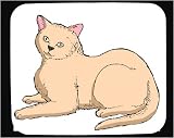 image link - - B000RLPFAC