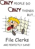  : CRAZY PEOPLE DO CRAZY THINGS BUTà File Clerks ARE PERFECTLY SANE! Sweatshirt (Your Choice of Colors)