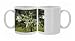 Photo Mugs of MAB-635 Spanish Fir - Branches and leaves from Ardea Wildlife Pets