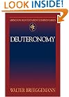 Abingdon Old Testament Commentary  - Deuteronomy (Abingdon Old Testament Commentaries)