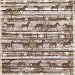 COWGIRL PAPER 12 x 12-PONY PEN (25 Pack)