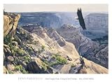 Bald Eagle over Canyon de Chelley, Art Poster by Dino Paravano