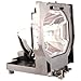 610 292 4831 Sanyo Projector Lamp Replacement. Projector Lamp Assembly with Genuine Original Philips UHP Bulb inside.