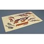 Decal Sheet: FBS