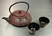 Japanese Cast Iron Tea Pot Tea Set /Dragon Fly Red
