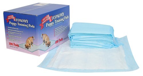 Childrens Toyshop  Pet Supplies : Economy Housebreaking Pads - 100 count