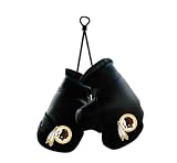 Washington Redskins NFL Rearview Mirror Mini Boxing Gloves