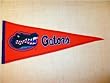 University of Florida Gators - NCAA College Traditions (Pennants)