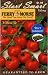Ferry-Morse 2064 Tomato Seeds, Red Cherry, Large Fruited (710 Milligram Packet)