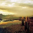 The Wizard Women...