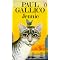 Cat Books to Treasure