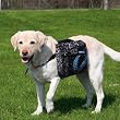 Trixie Dog Rucksack Backpack Large