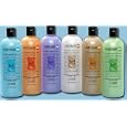 Lander 3-in-1, juicy orange, bubble bath, shampoo & body wash 32 oz - 1 ea