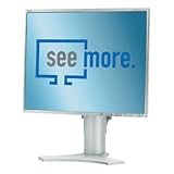 Computer : NEC MultiSync LCD1990FXp - Flat Panel Display - TFT - 19"