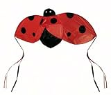 Ladybug Wind Spinner