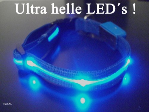 TierXXL LED Leuchthalsband Halsband in BLAU Gr. M Halsumfang 37cm bis 51cm