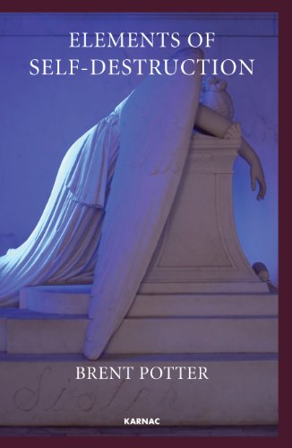 Elements of Self-Destruction, by Brent Potter