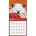 TF Publishing 2017 Cat Dreams Wall Calendar (17-1021)
