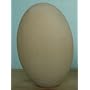 Basswood Ostrich Egg
