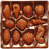 Seashell Gift Box
