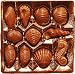 Seashell Gift Box
