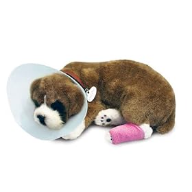 Perfect Petzzz Personality Collection Buster Boxer by Perfect Petzzz