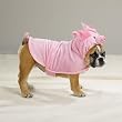 DOG HALLOWEEN - X-LARGE Piggy-Pooch Halloween Costume