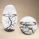 EcoSphere