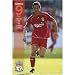 Fernando Torres of Liverpool soccer poster