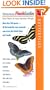 Butterflies (Peterson Flashguides (TM))
