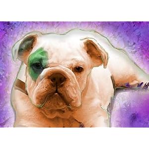 Bulldog Art Print on Canvas