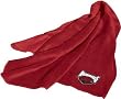 Arkansas Razorbacks Fleece Blanket/Throw - NCAA College Athletics