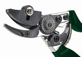 Cut & Hold Pruner