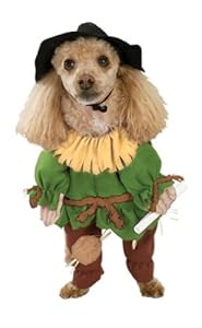 Rubies Costume Wizard of Oz Scarecrow Pet Costume, Small