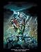 The Orc Hero POSTER fantasy role playing warrior RPG 16